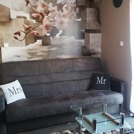 Comfortstudio Zakopane Bagian luar foto