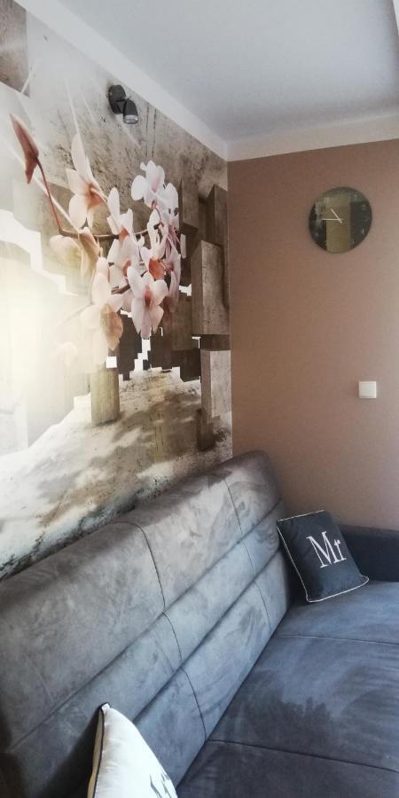 Comfortstudio Zakopane Bagian luar foto